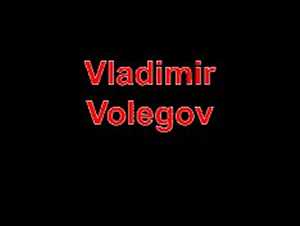 Vladimir Volegov  peintre